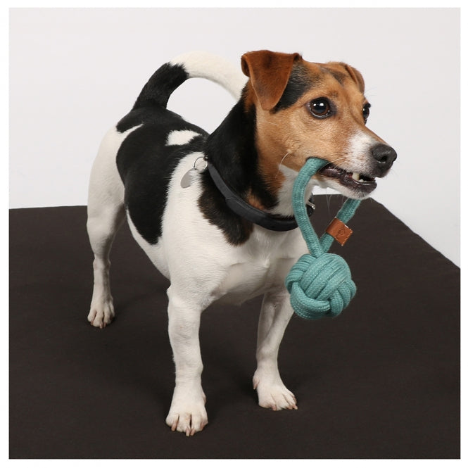 D&D - Geknoopte Bal met Lus - Harper - Blauw - 22 x 8 cm