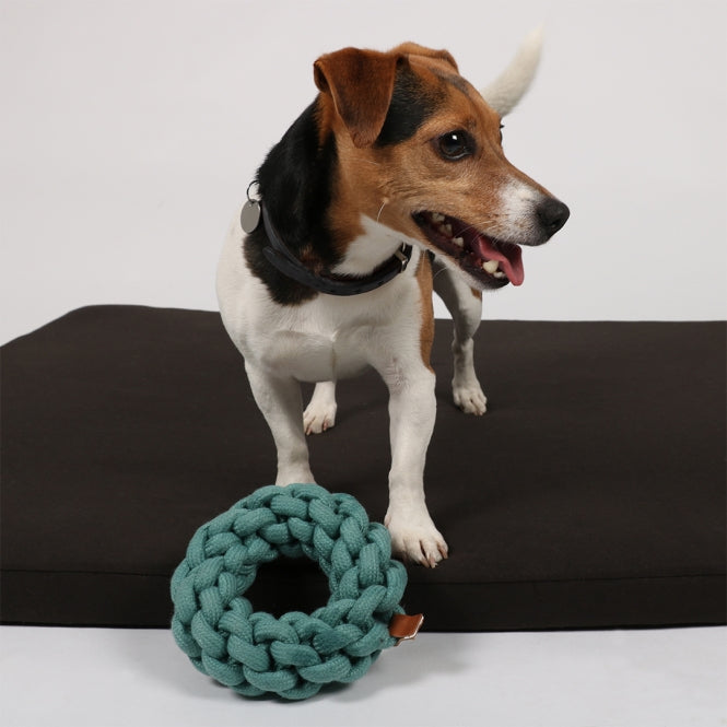 D&D - Katoenen ring Ben - Blauw - 19 x 19 x 5 cm