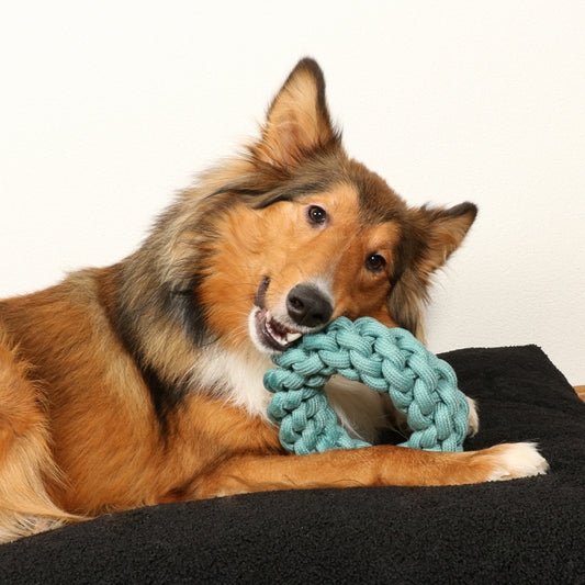 D&D - Katoenen ring Ben - Blauw - 19 x 19 x 5 cm