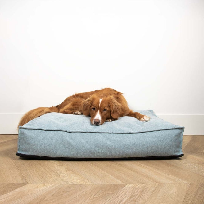 D&D Honden kussen Eden - ocean - S - 70x50x14cm