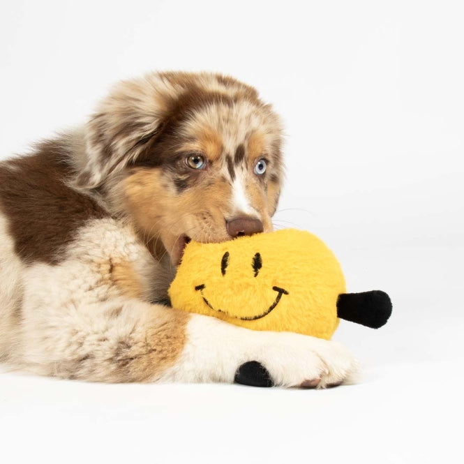 Coockoo Hondenspeelgoed Bouncy Buddy - geel