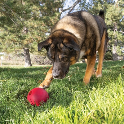 Kong Classic Bal Met Gat Rubber