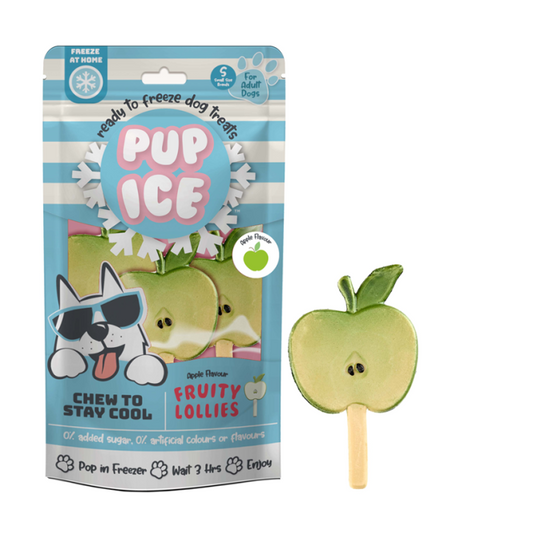 Pup Ice Fruitlollies Appel S - 3 Stuks