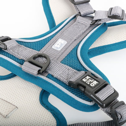Duvoplus EXPLOR Ultimate Fit No-Pull Tuigje - petrol blue - S - 35-45cm / 40-52cm