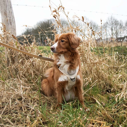 Duvoplus EXPLOR Ultimate Fit No-Pull-Tuigje - antiek wit - S - 35-45cm - 40-52cm