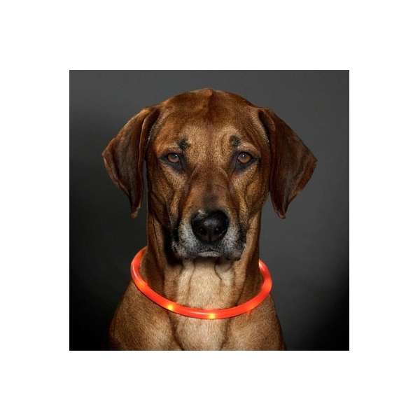 Karlie Visio Light LED-Buis met USB - Oranje