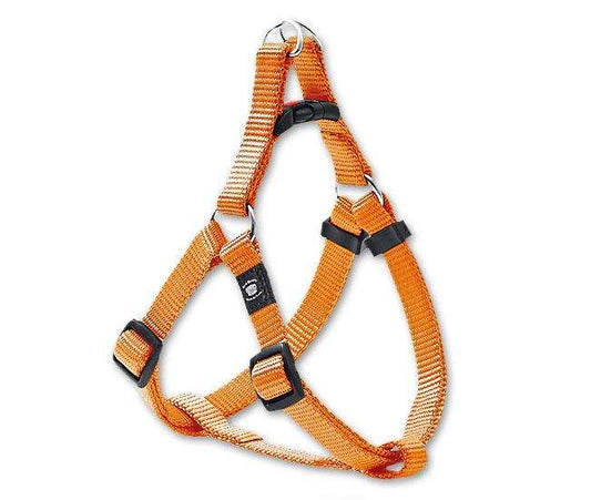 Karlie ASP Step&Go Tuig - Oranje - 20 mm, 53-77 cm