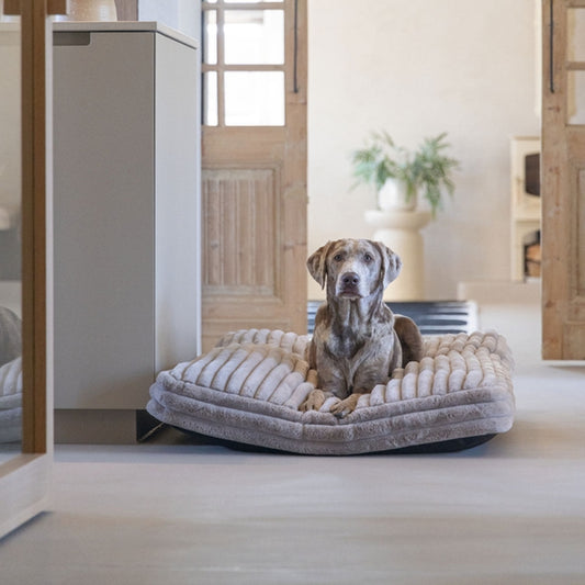 Designed by Lotte Hondenkussen Reza - Beige - 120 x 80 cm