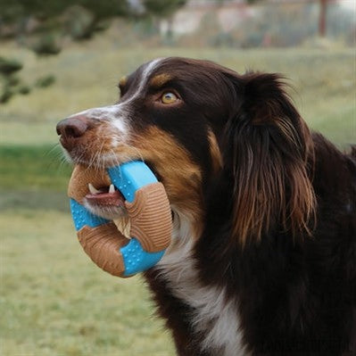 Kong Corestrength Bamboo Bone-KONG-Louis Choice