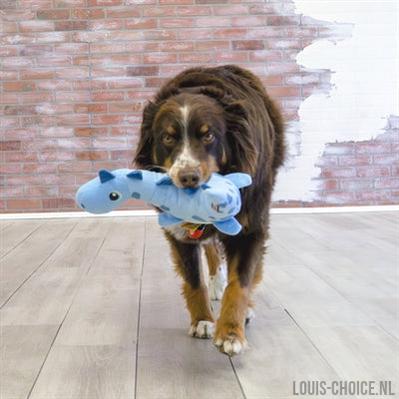 Kong Dynos Roars Blauw-KONG-Louis Choice