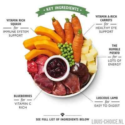 Lily's Kitchen Dog Lamb Hotpot-LILY'S KITCHEN-Louis Choice