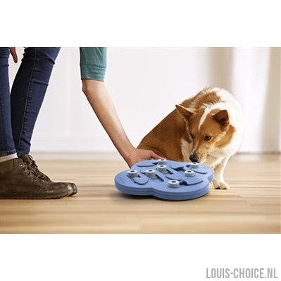 Nina Ottosson Dog Hide N Slide Composiet-NINA OTTOSSON-Louis Choice