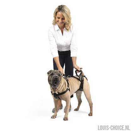 Solvit Petsafe Carelift Voor En Achter-SOLVIT-Louis Choice