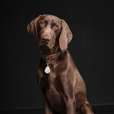 Tickless Teek En Vlo Afweer Voor Hond En Kat Beige-TICKLESS-Louis Choice