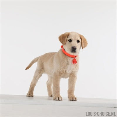 Tickless Teek En Vlo Afweer Voor Hond En Kat Fluoriserend Oranje-TICKLESS-Louis Choice
