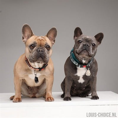 Tickless Teek En Vlo Afweer Voor Hond En Kat Zwart-TICKLESS-Louis Choice