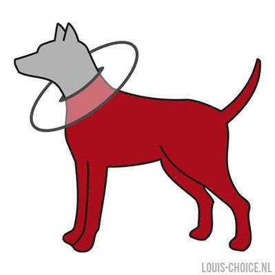 Trixie Beschermkraag Schuimrubber Grijs-TRIXIE-Louis Choice