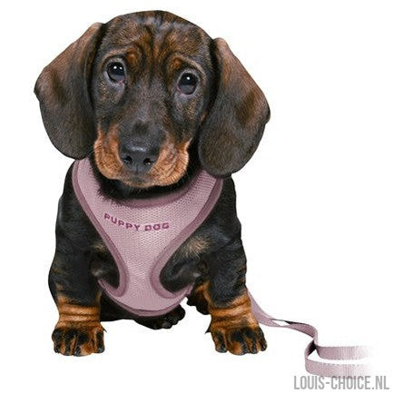 Trixie Junior Puppytuig Soft Met Riem Lila-TRIXIE-Louis Choice