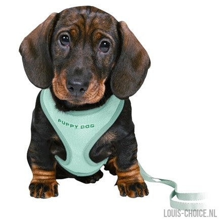 Trixie Junior Puppytuig Soft Met Riem Mintgroen-TRIXIE-Louis Choice