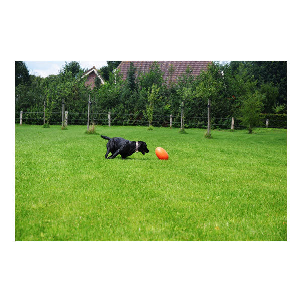 Dog Comets Pan-Stars Drijfei - Oranje / M