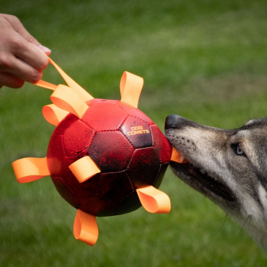 Dog Comets - Bal Hypernova - Groen