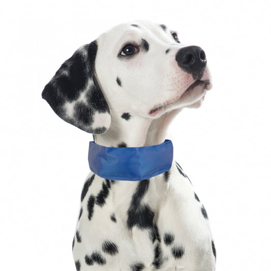 PROCYON Koel-Bandana voor Honden - M