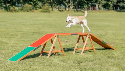 Trixie Fun Agility Loopplank
