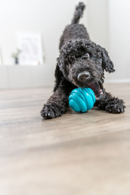 Trixie Super Strong Bal - 7,5 cm