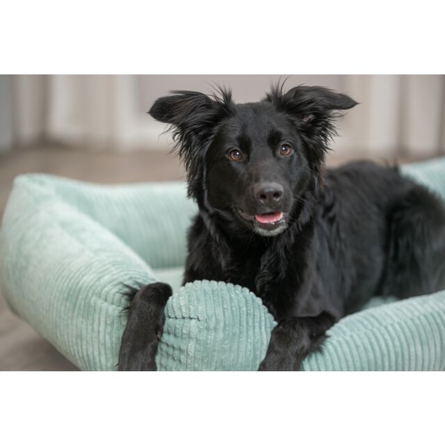 Trixie Vital Bed Jonna - saliegroen - 120 × 80 cm