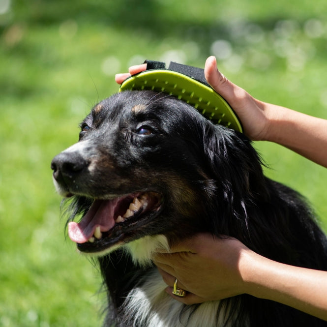 PROCYON washandschoen