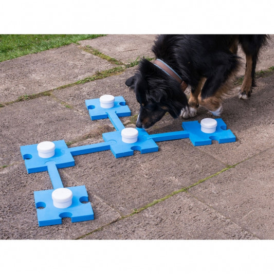 PROCYON Snuffelplezier - blauw