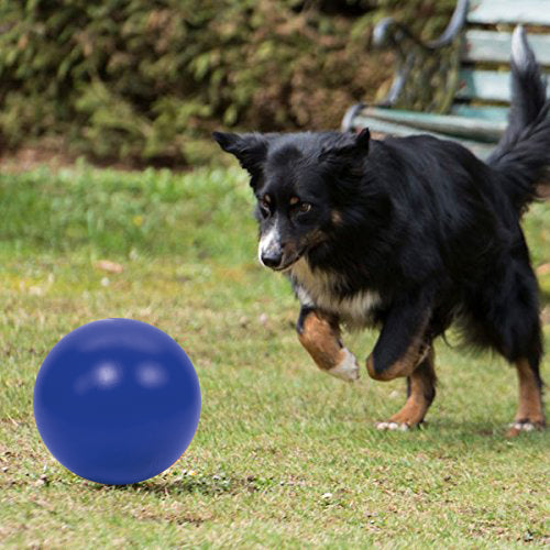 PROCYON Drijfbal - Blauw