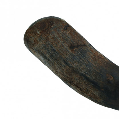 Viking Half Horn - L