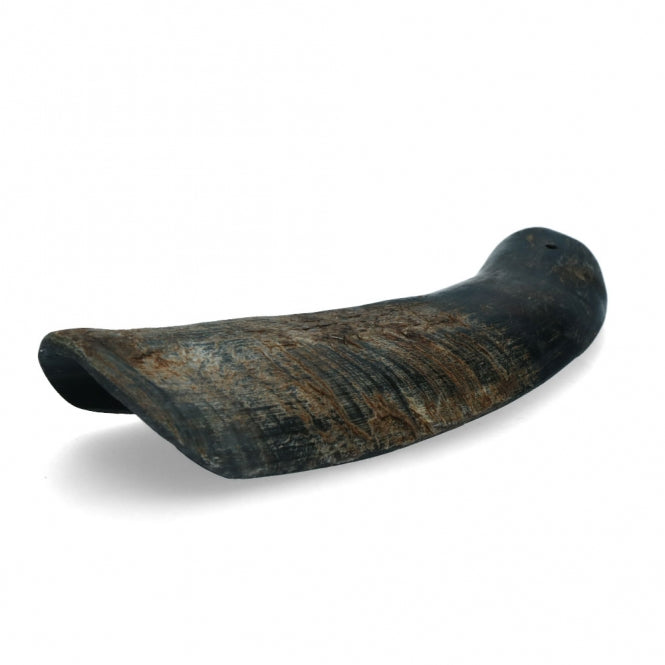 Viking Half Horn - L