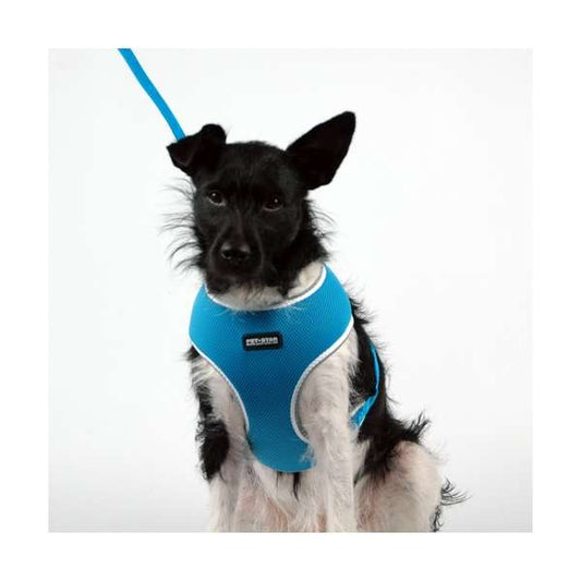 Pet-Star Softtuig / Nettuig - Blauw - L